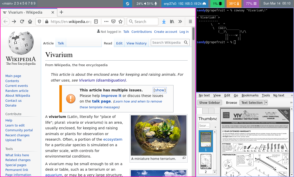 Screenshot of Vivarium with browser window, terminal and PDF viewer